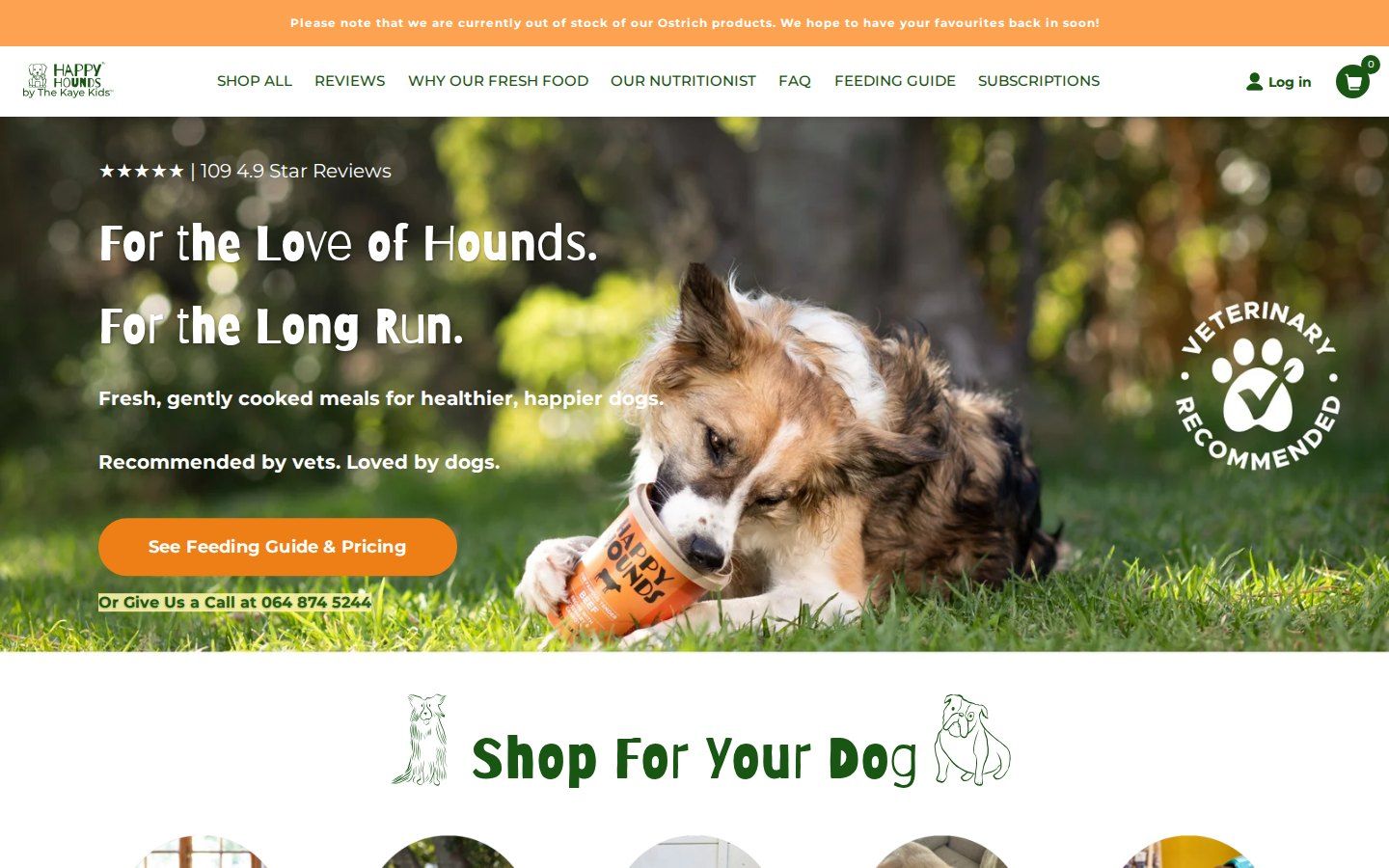 happyhounds.co.za homepage